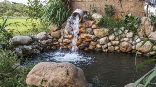 Pemsee's Tree Town - Eco Treehouse Hostel in Chitwan Pemsee's Tree Town - Eco Treehouse Hostel in Chitwan