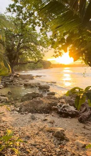 Surrounding environment, Casa Mamre in Cahuita Surrounding environment, Casa Mamre in Cahuita
