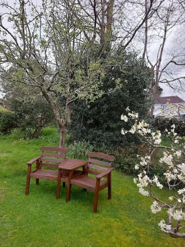 Jardín, Double room with ensuite shower room in quiet, private house in Worthing Jardín, Double room with ensuite shower room in quiet, private house in Worthing