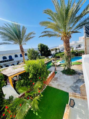 游泳池, Club Red Dahab Motel in 達哈布 游泳池, Club Red Dahab Motel in 達哈布