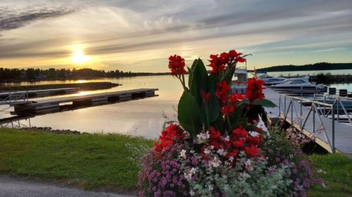 Beach, Lomayksio C 2 Sotkamon keskustassa in Sotkamo Beach, Lomayksio C 2 Sotkamon keskustassa in Sotkamo