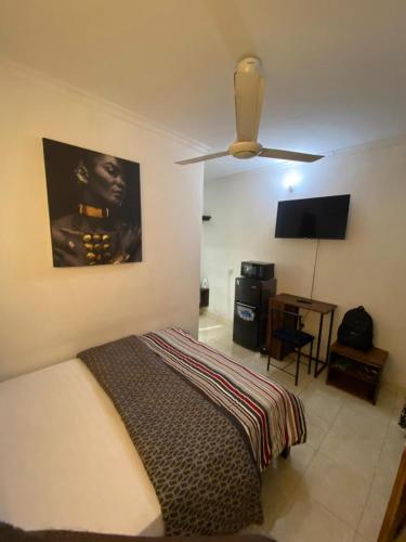 maasaifari cozy studio