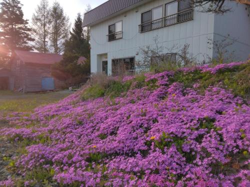 宿 大都会 near Goro's Stone House 宿 大都会 near Goro's Stone House