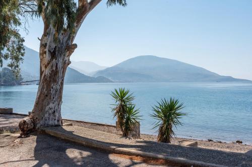 해변, Γκαρσονιέρα 2 δίπλα στη θάλασσα! (Γκαρσονιερα 2 διπλα στη θαλασσα!) in 안티키라 해변, Γκαρσονιέρα 2 δίπλα στη θάλασσα! (Γκαρσονιερα 2 διπλα στη θαλασσα!) in 안티키라