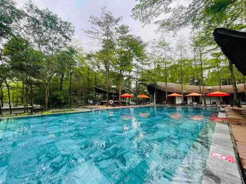 Swimming pool, Dai Lai Resort- Forest Villa in Phuc Yen Swimming pool, Dai Lai Resort- Forest Villa in Phuc Yen