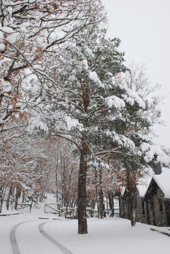 This photo about Camping Gavin shared on HyHotel.com