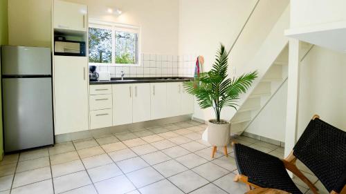 Cocina, Dream of the Green Flamingo in Willibrordus Cocina, Dream of the Green Flamingo in Willibrordus