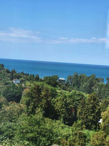 A környék, Incognito in Buknari A környék, Incognito in Buknari