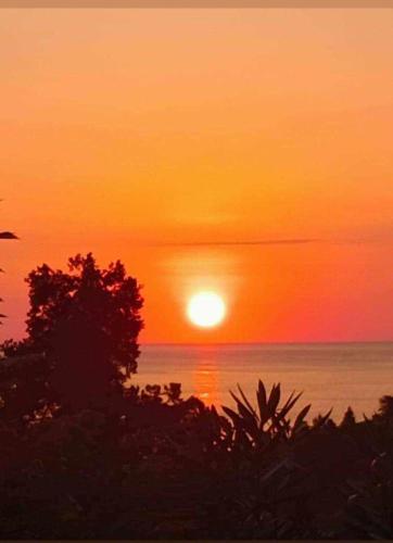 A környék, Incognito in Buknari A környék, Incognito in Buknari