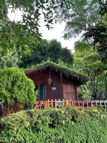Posada Ecologica La Abuela in Masaya Posada Ecologica La Abuela in Masaya