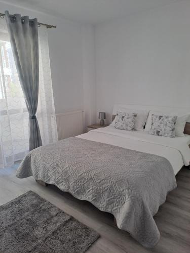 Apartament Bio in Selimbar Apartament Bio in Selimbar