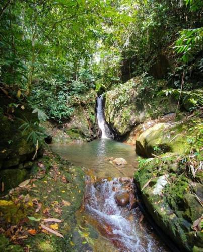 Surrounding environment, Kebun Rimba Janda Baik in Janda Baik Surrounding environment, Kebun Rimba Janda Baik in Janda Baik