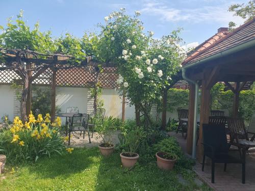 puutarha, Pension Zelený strom (Pension Zeleny strom) in Mikulov puutarha, Pension Zelený strom (Pension Zeleny strom) in Mikulov
