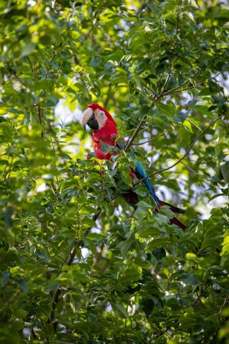المنطقة المحيطة, Ben's Cabine - De Hollandse Boerderij in بوديجرافين المنطقة المحيطة, Ben's Cabine - De Hollandse Boerderij in بوديجرافين
