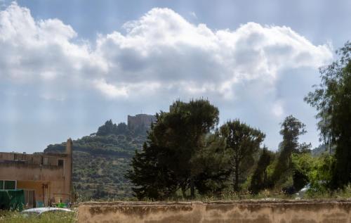 Cerca de lugares turísticos, Blackbird Sanctuary homestay & Art Cafe in Ajloun Cerca de lugares turísticos, Blackbird Sanctuary homestay & Art Cafe in Ajloun