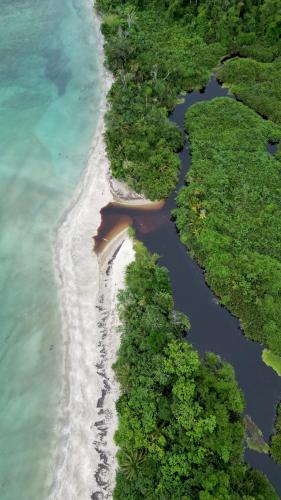 Surrounding environment, Casa Mamre in Cahuita Surrounding environment, Casa Mamre in Cahuita