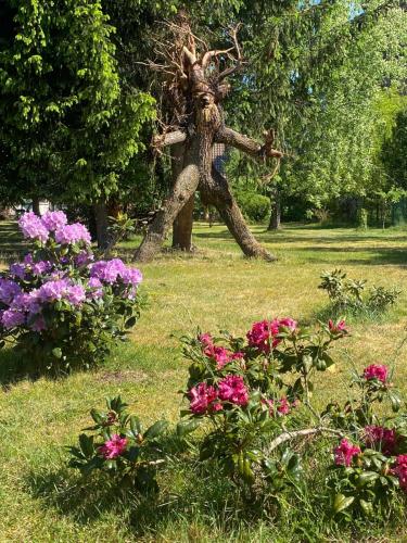 Pension Haus zum See in Markische Heide Ot Leibchel Pension Haus zum See in Markische Heide Ot Leibchel