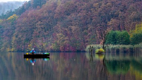 Orfűi Gomba Vendégház (Orfui Gomba Vendeghaz) in Orfű Orfűi Gomba Vendégház (Orfui Gomba Vendeghaz) in Orfű
