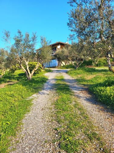 Koroni Kamares Valley Farm Amidst Olive Groves in Agios Georgios Koroni Kamares Valley Farm Amidst Olive Groves in Agios Georgios