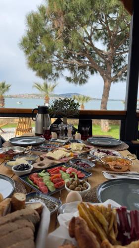 Makanan dan Minuman, Tringo Bungalov in Ali Cetinkaya Makanan dan Minuman, Tringo Bungalov in Ali Cetinkaya