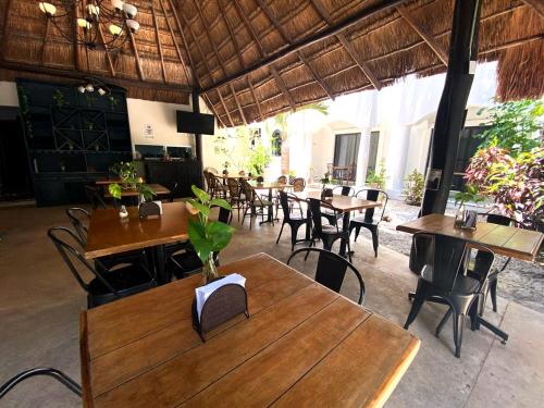 Food and beverages, Hacienda Paradise By BFH in Playa Del Carmen Food and beverages, Hacienda Paradise By BFH in Playa Del Carmen