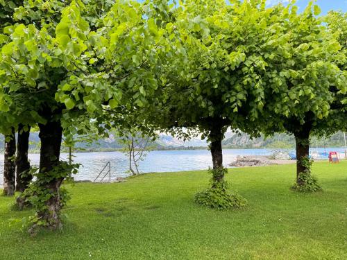 Family room by Interlaken Parking in Därligen Family room by Interlaken Parking in Därligen