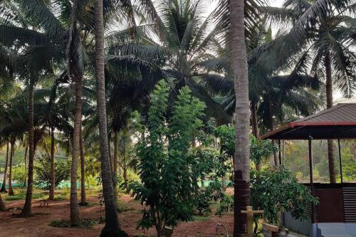Stanrose Farm Stay in Koteshwar Stanrose Farm Stay in Koteshwar