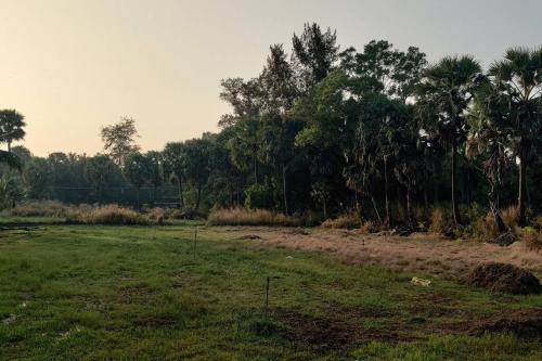 Stanrose Farm Stay in Koteshwar Stanrose Farm Stay in Koteshwar