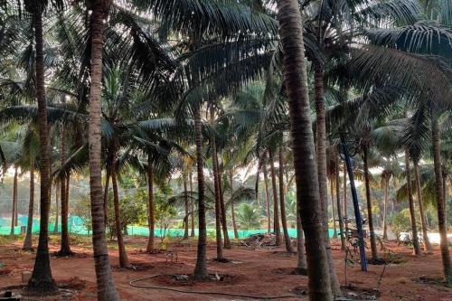 Stanrose Farm Stay in Koteshwar Stanrose Farm Stay in Koteshwar