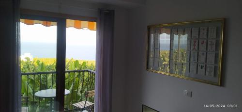 Caracol Trail Mountain La Palma - junto a Trbol