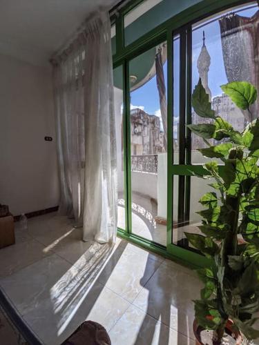 Alexandria Downtown Apartment