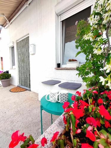 Studio Placa in Krk Island Studio Placa in Krk Island