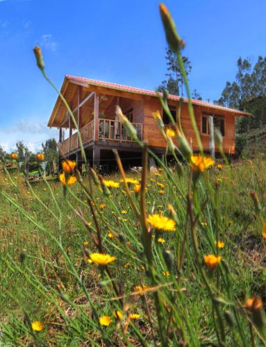 Surrounding environment, Cabana Ceeport in Salitre Surrounding environment, Cabana Ceeport in Salitre