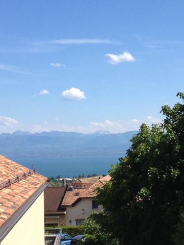 This photo about Domaine Viticole shared on HyHotel.com