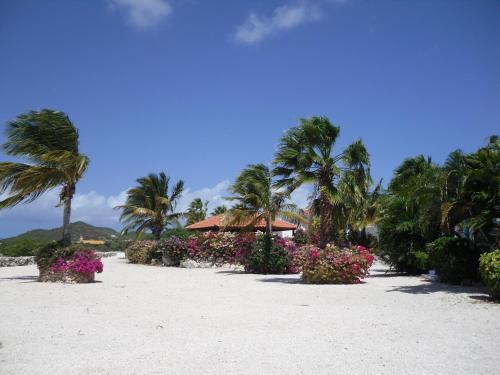 παραλία, Oceanfront Townhome in Marazul Dive Resort in Westpunt παραλία, Oceanfront Townhome in Marazul Dive Resort in Westpunt