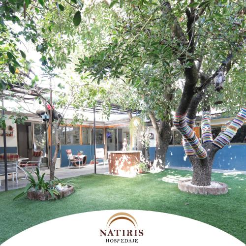 tuin, Natiris in Curico tuin, Natiris in Curico