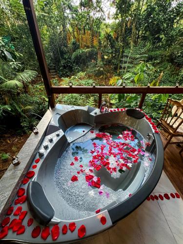 Amazon Puyu Glamping in Puyo Amazon Puyu Glamping in Puyo