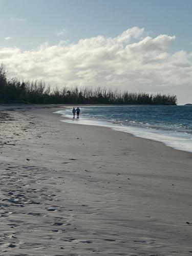 Пляж, Slow M'Ocean Paradise in Уитби Пляж, Slow M'Ocean Paradise in Уитби