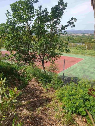 Detached house with 3 pools in Cogolin Detached house with 3 pools in Cogolin