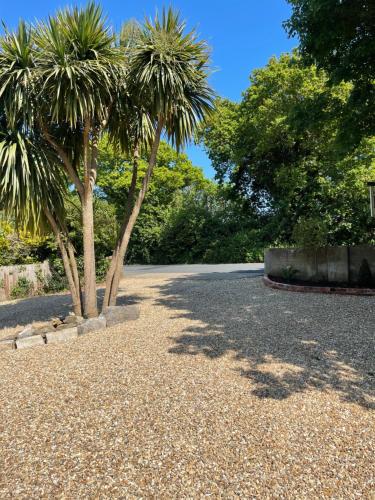 View, Godden Green B & B Guesthouse in Arreton and Newchurch View, Godden Green B & B Guesthouse in Arreton and Newchurch