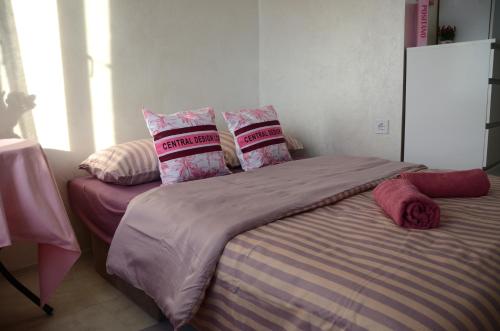 Central Design Studio