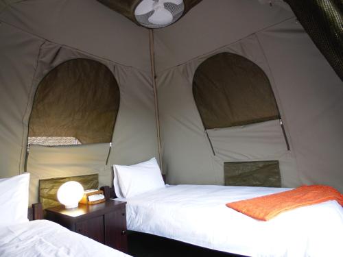 Budget Tented Village @ Urban Glamping in Saint Lucia Estuary Budget Tented Village @ Urban Glamping in Saint Lucia Estuary