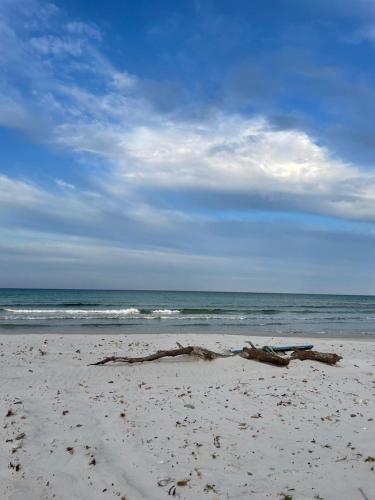 House of Roses - Diar Laila, Ezzahra Plage in Ezzahra (Bin `Arus) House of Roses - Diar Laila, Ezzahra Plage in Ezzahra (Bin `Arus)