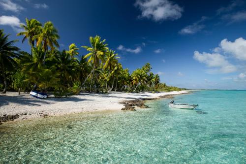 ビーチ, Fafarua Private Island in ティケハウ環礁 ビーチ, Fafarua Private Island in ティケハウ環礁