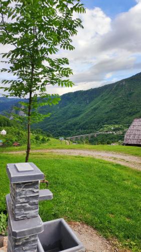 Guest house Tara in Durdevica Tara Guest house Tara in Durdevica Tara