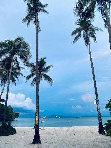 The Hip Resort @ Phi Phi (The Hip Resort at Phi Phi) in Loh Ba Gao The Hip Resort @ Phi Phi (The Hip Resort at Phi Phi) in Loh Ba Gao