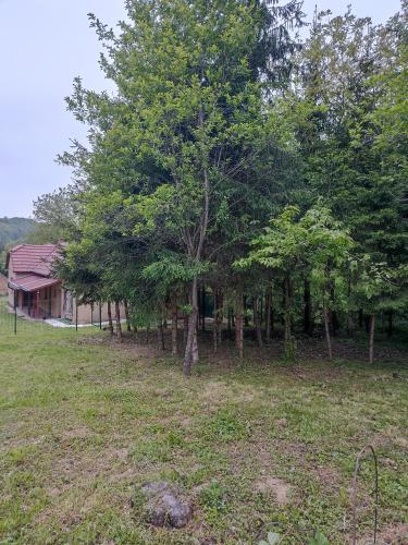 Őrségi Kuckó (Orsegi Kucko) in Hegyhatszentjakab Őrségi Kuckó (Orsegi Kucko) in Hegyhatszentjakab