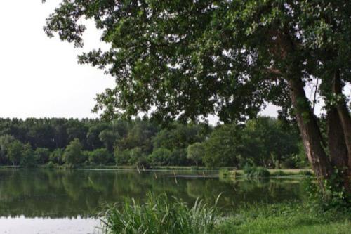 Studio 28 A l'oree de l'eau in Cloyes-sur-le-Loir Studio 28 A l'oree de l'eau in Cloyes-sur-le-Loir