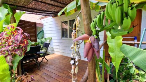 Taman, MOOREA - Studio Natura in Hauru Taman, MOOREA - Studio Natura in Hauru