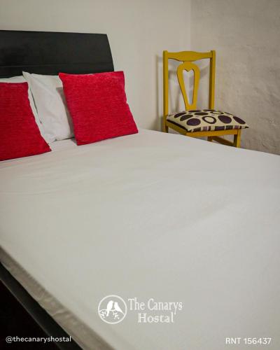 The Canarys Hostal in Santa Rosa De Cabal The Canarys Hostal in Santa Rosa De Cabal